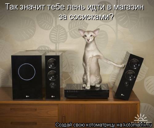 Так значит тебе лень идти в магазин за сосисками?... Котоматрица: Так значит тебе лень идти в магазин за сосисками?