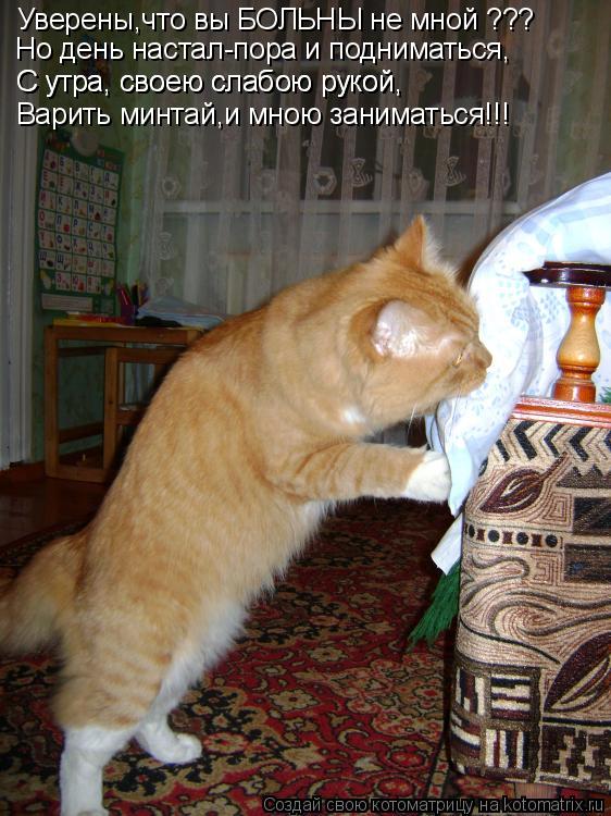 Уверены,что вы БОЛЬНЫ не мной ??? Но день настал-пора и подниматься, С утра, своею слабою рукой, С ут... Котоматрица: Уверены,что вы БОЛЬНЫ не мной ??? Но день настал-пора и подниматься, С утра, своею слабою рукой, С утра, своею слабою рукой, Варить минтай,и мно
