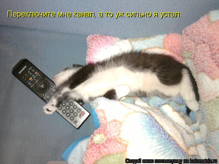 Переключите мне канал, а то уж сильно я устал.... Котоматрица: Переключите мне канал, а то уж сильно я устал.