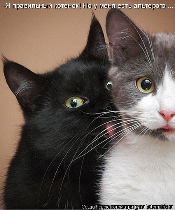 -Я правильный котенок! Но у меня есть альтерэго ...... Котоматрица: -Я правильный котенок! Но у меня есть альтерэго ...