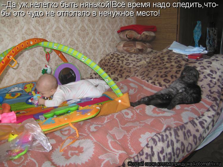 --Да уж,нелегко быть нянькой!Всё время надо следить,что- бы это чудо не отползло в ненужное место!... Котоматрица: --Да уж,нелегко быть нянькой!Всё время надо следить,что- бы это чудо не отползло в ненужное место!