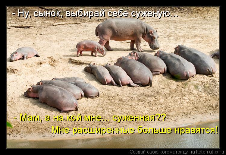 - Ну, сынок, выбирай себе суженую... - Мам, а на кой мне... суженная?? Мне расширенные больше нравятс... Котоматрица: - Ну, сынок, выбирай себе суженую... - Мам, а на кой мне... суженная?? Мне расширенные больше нравятся!