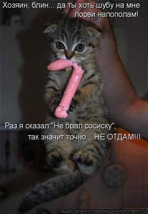 Хозяин, блин... да ты хоть шубу на мне порви напополам! Раз я сказал "Не брал сосиску", так значит то... Котоматрица: Хозяин, блин... да ты хоть шубу на мне порви напополам! Раз я сказал "Не брал сосиску", так значит точно... НЕ ОТДАМ!!!