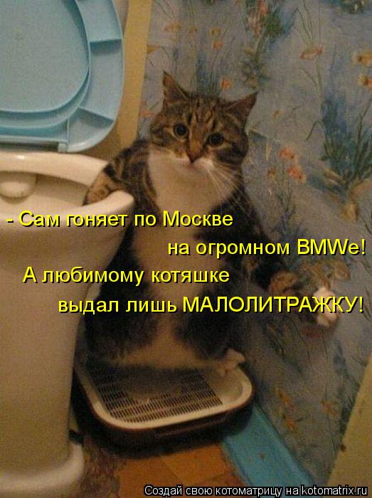 - Сам гоняет по Москве на огромном BMWе! А любимому котяшке выдал лишь МАЛОЛИТРАЖКУ!... Котоматрица: - Сам гоняет по Москве на огромном BMWе! А любимому котяшке выдал лишь МАЛОЛИТРАЖКУ!