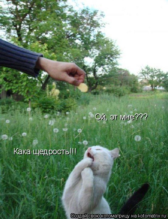 Ой, эт мне??? Кака щедрость!!!... Котоматрица: Ой, эт мне??? Кака щедрость!!!