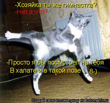 -Хозяйка ты же гимнастка? -Нет,а что? -Просто я бы посмотрел на тебя В халате и в такой позе 8-)... Котоматрица: -Хозяйка ты же гимнастка? -Нет,а что? -Просто я бы посмотрел на тебя В халате и в такой позе 8-)