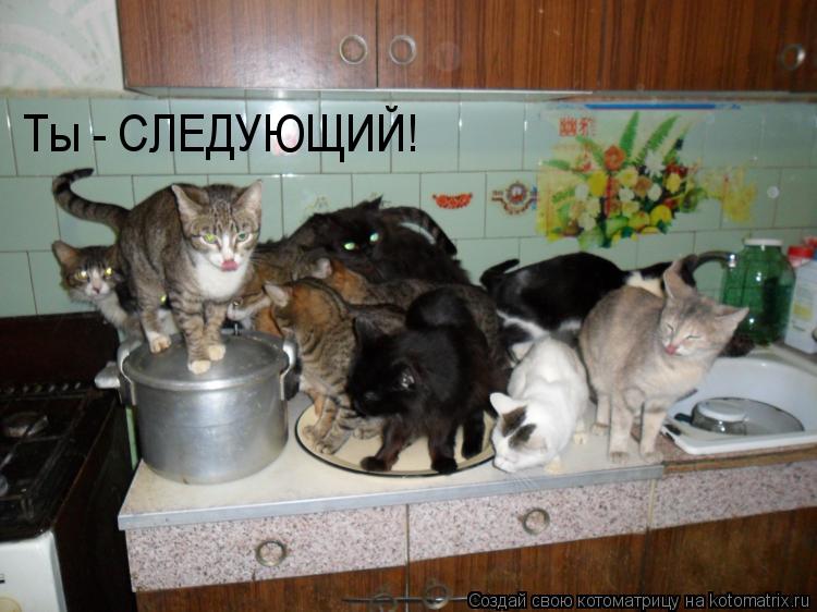 Ты - СЛЕДУЮЩИЙ!... Котоматрица: Ты - СЛЕДУЮЩИЙ!