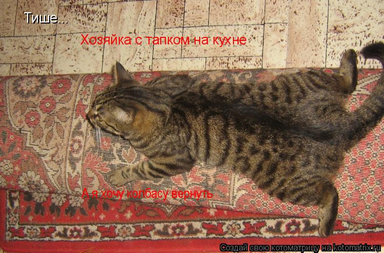 Тише... Хозяйка с тапком на кухне А я хочу колбасу вернуть... Котоматрица: Тише... Хозяйка с тапком на кухне А я хочу колбасу вернуть