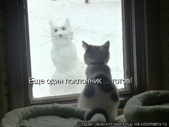Еще один поклонник ... готов!... Котоматрица: Еще один поклонник ... готов!