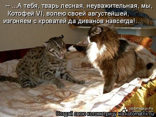 -- ...А тебя, тварь лесная, неуважительная, мы, Котофей VI, волею своей августейшей, изгоняем с крова... Котоматрица: -- ...А тебя, тварь лесная, неуважительная, мы, Котофей VI, волею своей августейшей, изгоняем с кроватей да диванов навсегда!...