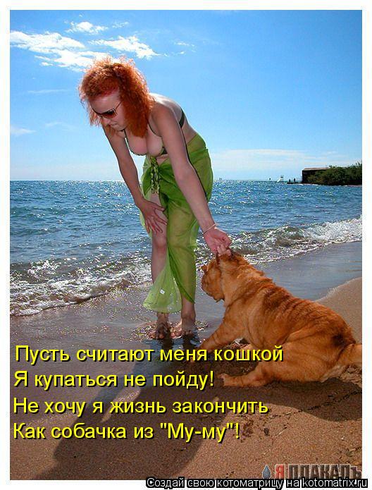 Пусть считают меня кошкой Я купаться не пойду! Не хочу я жизнь закончить Как собачка из "Му-му"!... Котоматрица: Пусть считают меня кошкой Я купаться не пойду! Не хочу я жизнь закончить Как собачка из "Му-му"!