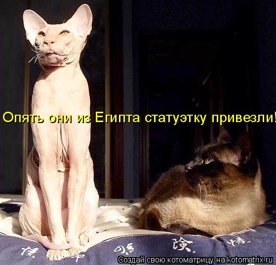 Опять они из Египта статуэтку привезли!... Котоматрица: Опять они из Египта статуэтку привезли!