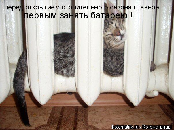 перед открытием отопительного сезона главное первым занять батарею !... Котоматрица: перед открытием отопительного сезона главное первым занять батарею !