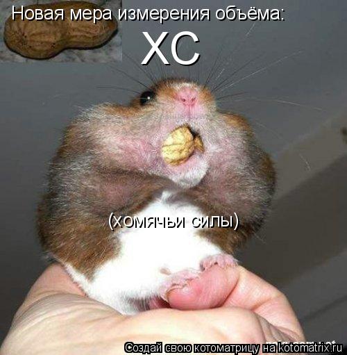 Новая мера измерения объёма: ХС (хомячьи силы)... Котоматрица: Новая мера измерения объёма: ХС (хомячьи силы)
