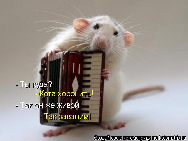 - Ты куда? - Кота хоронить! - Так он же живой! - Так завалим!... Котоматрица: - Ты куда? - Кота хоронить! - Так он же живой! - Так завалим!