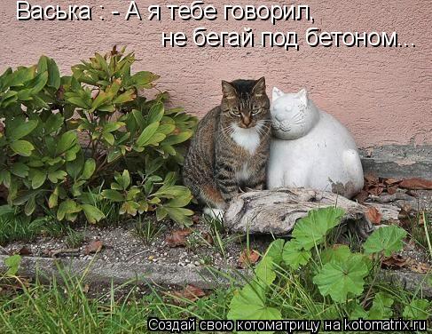 Васька : - А я тебе говорил, не бегай под бетоном...... Котоматрица: Васька : - А я тебе говорил, не бегай под бетоном...