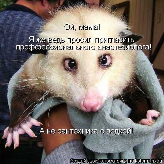 Ой, мама! Я же ведь просил пригласить проффессионального анастезиолога! А не сантехника с водкой!... Котоматрица: Ой, мама! Я же ведь просил пригласить проффессионального анастезиолога! А не сантехника с водкой!