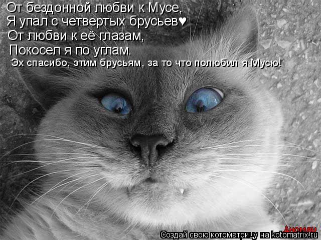 От бездонной любви к Мусе, Я упал с четвертых брусьев♥ От любви к её глазам, Покосел я по углам... Котоматрица: От бездонной любви к Мусе, Я упал с четвертых брусьев♥ От любви к её глазам, Покосел я по углам. Эх спасибо, этим брусьям, за то что полюбил
