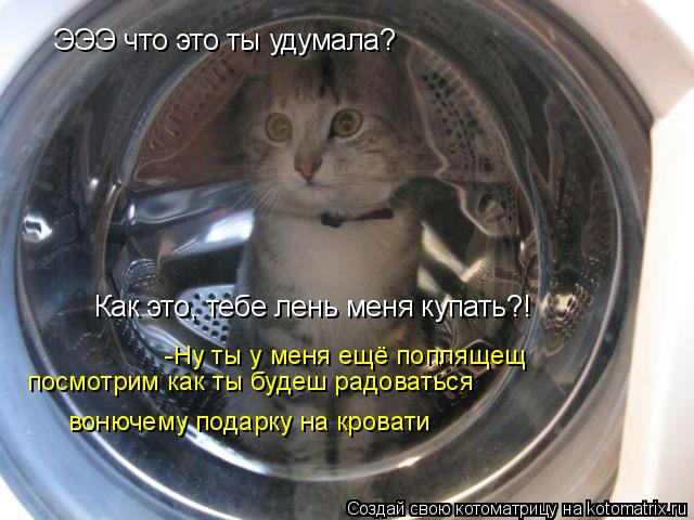 ЭЭЭ что это ты удумала? Как это, тебе лень меня купать?! -Ну ты у меня ещё поплящещ посмотрим как ты... Котоматрица: ЭЭЭ что это ты удумала? Как это, тебе лень меня купать?! -Ну ты у меня ещё поплящещ посмотрим как ты будеш радоваться вонючему подарку на кро