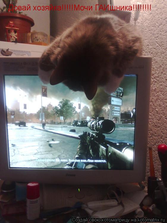 Довай хозяйка!!!!!Мочи ГАИшника!!!!!!!!... Котоматрица: Довай хозяйка!!!!!Мочи ГАИшника!!!!!!!!