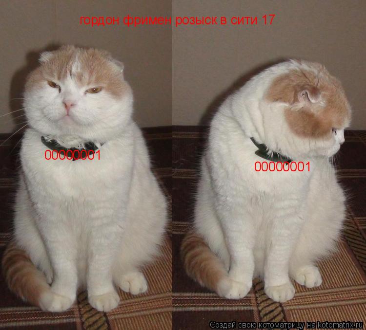 00000001 00000001 гордон фримен розыск в сити 17... Котоматрица: 00000001 00000001 гордон фримен розыск в сити 17