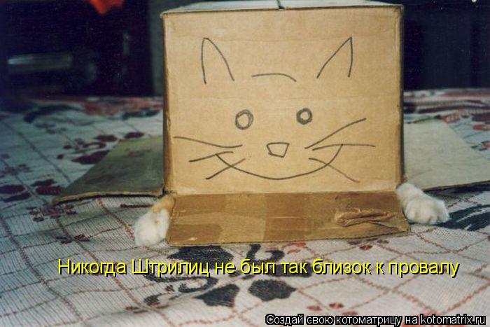 Котоматрица: Никогда Штрилиц не был так близок к провалу