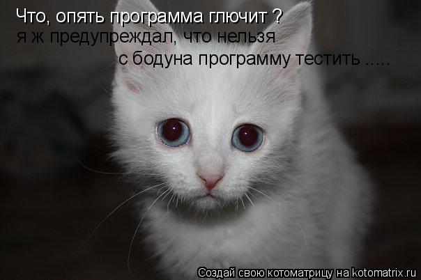 Котоматрица: Что, опять программа глючит ? я ж предупреждал, что нельзя с бодуна программу тестить .....