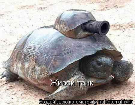 Живой танк... Котоматрица: Живой танк