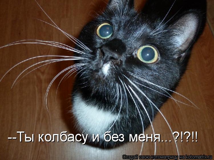 --Ты колбасу и без меня...?!?!!... Котоматрица: --Ты колбасу и без меня...?!?!!
