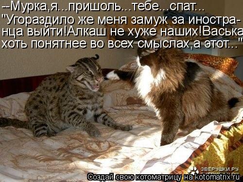 --Мурка,я...пришоль...тебе...спат... "Угораздило же меня замуж за иностра- нца выйти!Алкаш не хуже на... Котоматрица: --Мурка,я...пришоль...тебе...спат... "Угораздило же меня замуж за иностра- нца выйти!Алкаш не хуже наших!Васька хоть понятнее во всех смыслах,а эт