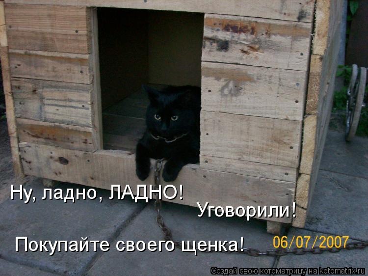 Ну, ладно, ЛАДНО! Уговорили! Покупайте своего щенка!... Котоматрица: Ну, ладно, ЛАДНО! Уговорили! Покупайте своего щенка!