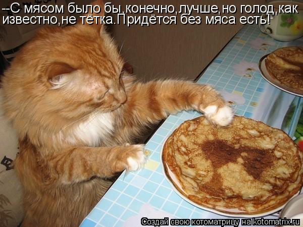 Котоматрица: --С мясом было бы,конечно,лучше,но голод,как известно,не тётка.Придётся без мяса есть!