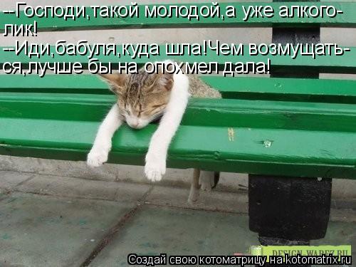 Котоматрица: --Господи,такой молодой,а уже алкого- лик! --Иди,бабуля,куда шла!Чем возмущать- ся,лучше бы на опохмел дала!