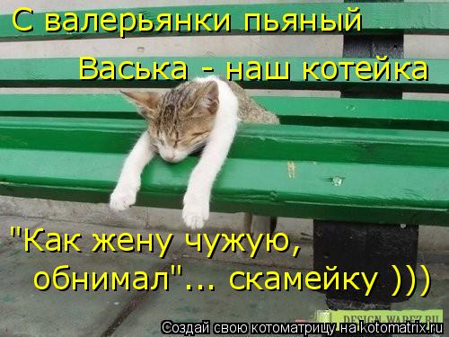 Котоматрица: С валерьянки пьяный  Васька - наш котейка "Как жену чужую,  обнимал"... скамейку )))