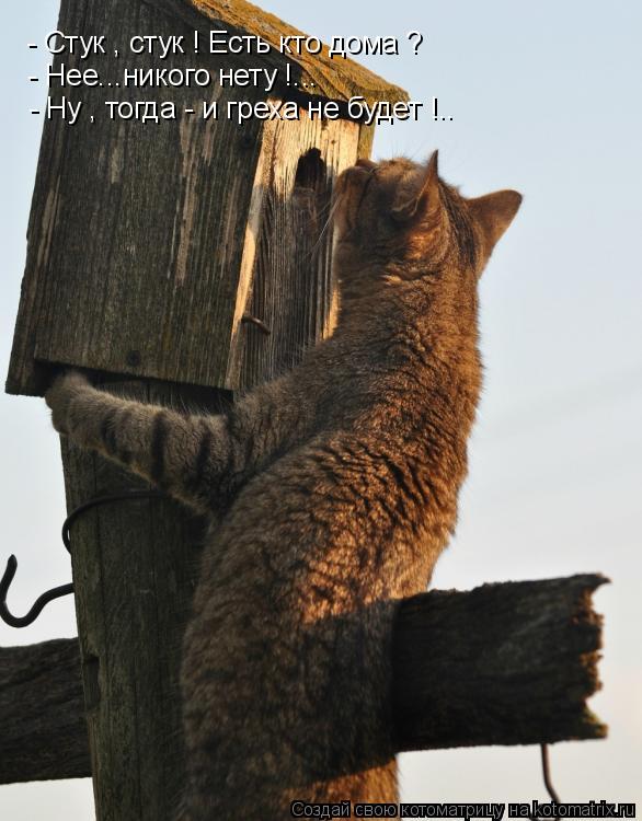 - Стук , стук ! Есть кто дома ? - Нее...никого нету !... - Ну , тогда - и греха не будет !..... Котоматрица: - Стук , стук ! Есть кто дома ? - Нее...никого нету !... - Ну , тогда - и греха не будет !..