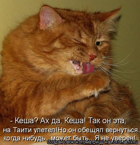 - Кеша? Ах да, Кеша! Так он эта, на Таити улетел!Но он обещял вернуться... когда нибудь...может быть... Котоматрица: - Кеша? Ах да, Кеша! Так он эта, на Таити улетел!Но он обещял вернуться... когда нибудь...может быть...Я не уверен!