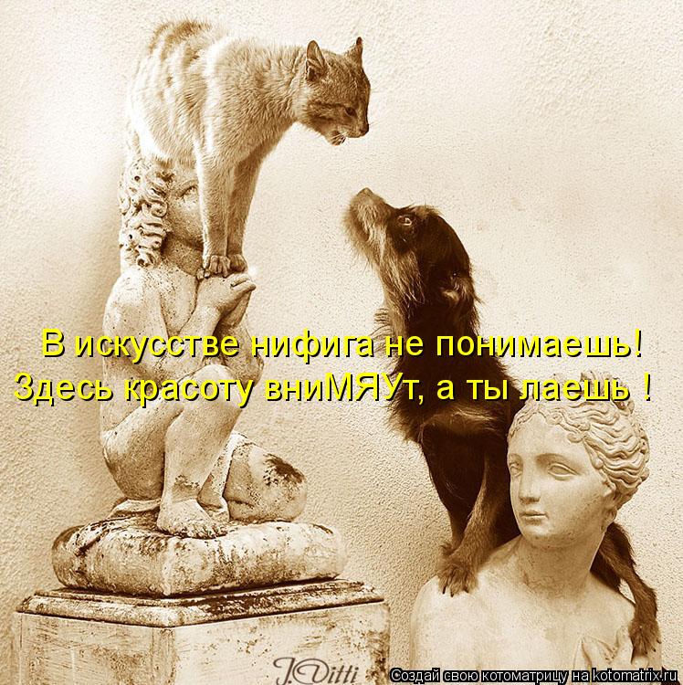 В искусстве нифига не понимаешь! Здесь красоту вниМЯУт, а ты лаешь !... Котоматрица: В искусстве нифига не понимаешь! Здесь красоту вниМЯУт, а ты лаешь !