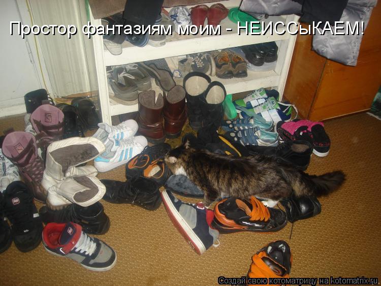 Простор фантазиям моим - НЕИССыКАЕМ!... Котоматрица: Простор фантазиям моим - НЕИССыКАЕМ!