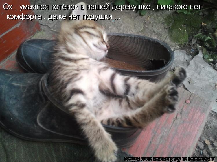 Ох , умаялся котёнок в нашей деревушке , никакого нет комфорта , даже нет подушки ...... Котоматрица: Ох , умаялся котёнок в нашей деревушке , никакого нет комфорта , даже нет подушки ...