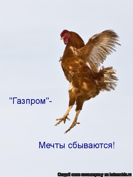 Котоматрица: "Газпром"- Мечты сбываются!