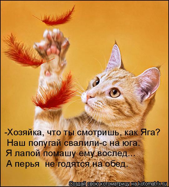 -Хозяйка, что ты смотришь, как Яга? Наш попугай свалили-с на юга. Я лапой помашу ему вослед... А перь... Котоматрица: -Хозяйка, что ты смотришь, как Яга? Наш попугай свалили-с на юга. Я лапой помашу ему вослед... А перья не годятся на обед.