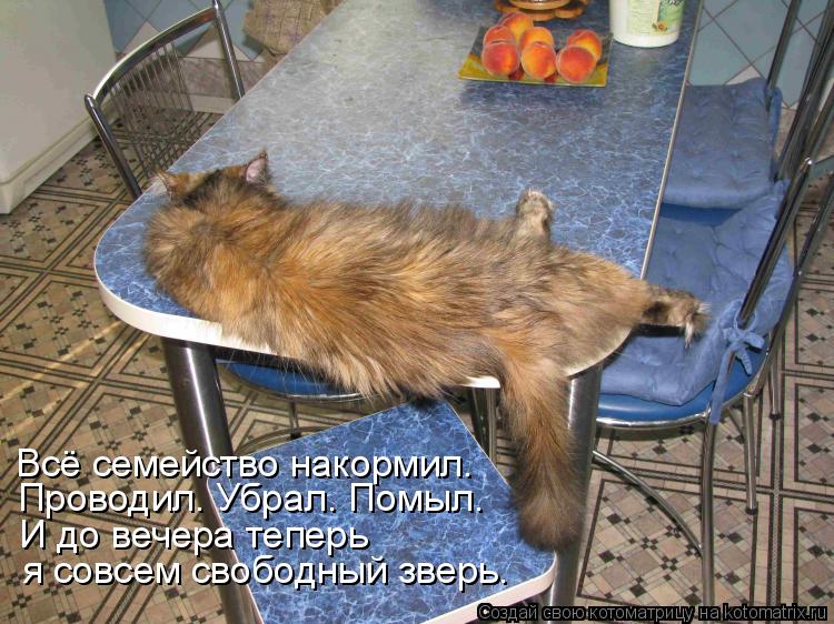 Всё семейство накормил. Проводил. Убрал. Помыл. И до вечера теперь я совсем свободный зверь.... Котоматрица: Всё семейство накормил. Проводил. Убрал. Помыл. И до вечера теперь я совсем свободный зверь.