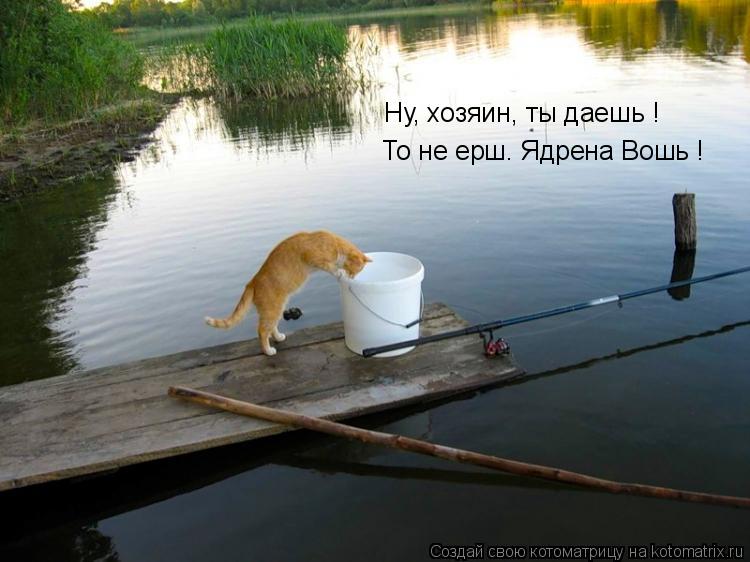 Ну, хозяин, ты даешь ! То не ерш. Ядрена Вошь !... Котоматрица: Ну, хозяин, ты даешь ! То не ерш. Ядрена Вошь !