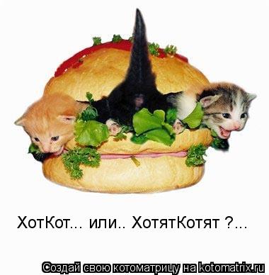 ХотКот... или.. ХотятКотят ?...... Котоматрица: ХотКот... или.. ХотятКотят ?...