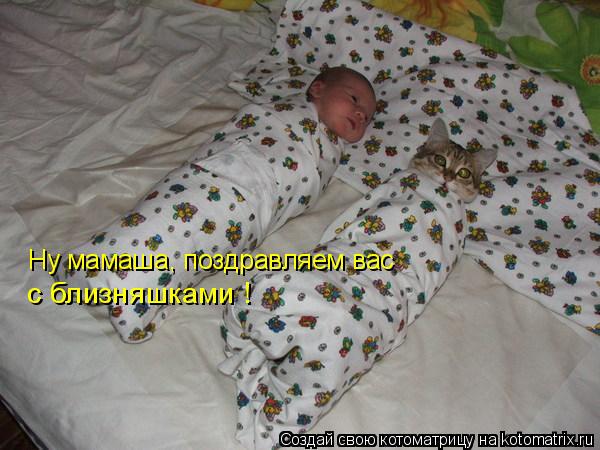 Ну мамаша, поздравляем вас с близняшками !... Котоматрица: Ну мамаша, поздравляем вас с близняшками !