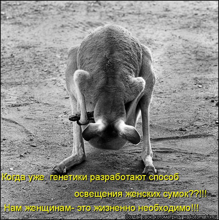 Когда уже генетики разработают способ освещения женских сумок??!!! Нам женщинам- это жизненно необхо... Котоматрица: Когда уже генетики разработают способ освещения женских сумок??!!! Нам женщинам- это жизненно необходимо!!!