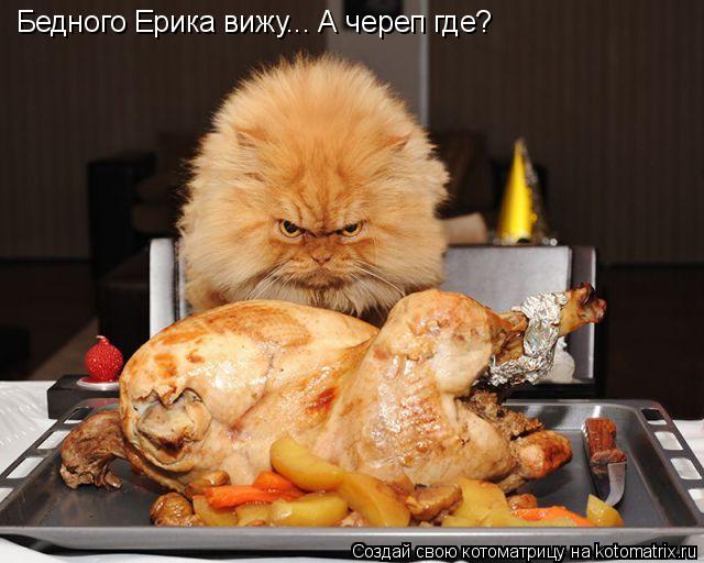 Бедного Ерика вижу... А череп где?... Котоматрица: Бедного Ерика вижу... А череп где?