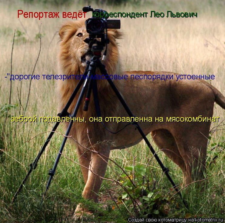 Репортаж ведёт корреспондент Лео Львович -"дорогие телезрители-массовые песпорядки устоенные . зебро... Котоматрица: Репортаж ведёт корреспондент Лео Львович -"дорогие телезрители-массовые песпорядки устоенные . зеброй подавленны, она отправленна на мясо