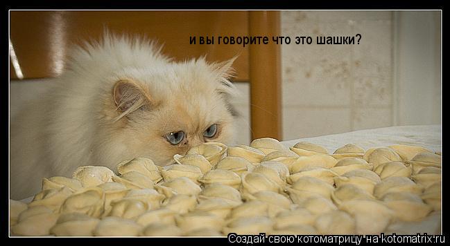 и вы говорите что это шашки?... Котоматрица: и вы говорите что это шашки?