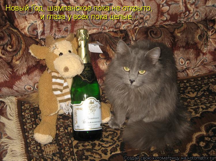Новый Год, шампанское пока не открыто, и глаза у всех пока целые...... Котоматрица: Новый Год, шампанское пока не открыто, и глаза у всех пока целые...